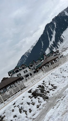 Photo from customer review