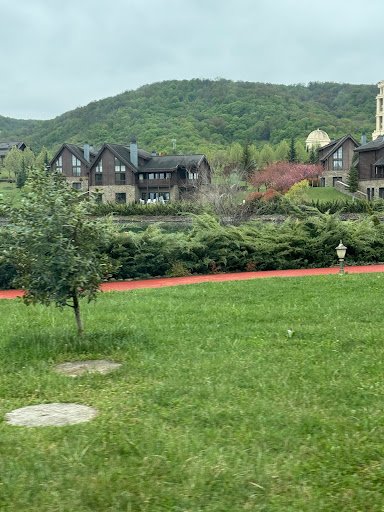 Photo from customer review