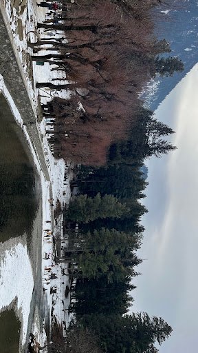 Photo from customer review