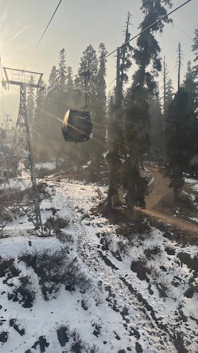 Photo from customer review