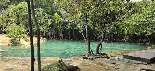 Photo from customer review