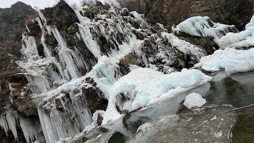 Photo from customer review