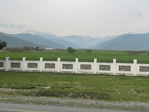 Photo from customer review