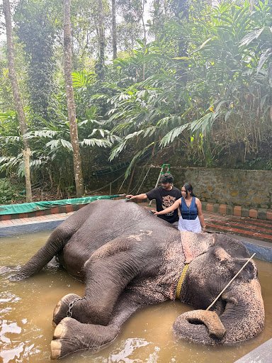 Photo from customer review