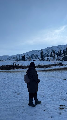 Photo from customer review