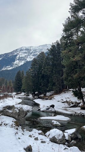 Photo from customer review