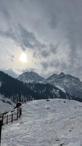 Photo from customer review