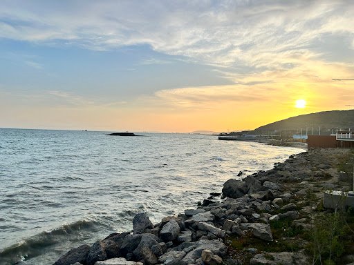 Photo from customer review