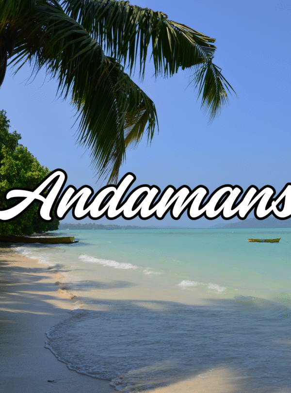 Andaman Tour Package
