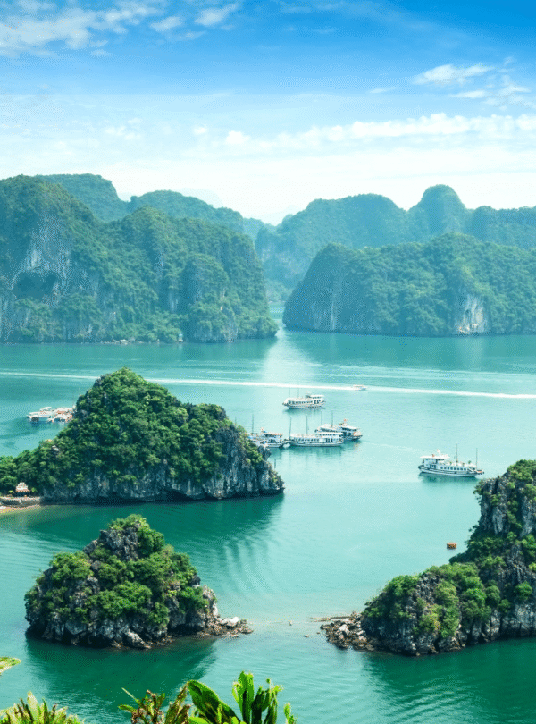 Vietnam Tour Packages